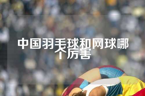 中国羽毛球和网球哪个厉害