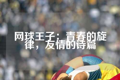网球王子：青春的旋律，友情的诗篇