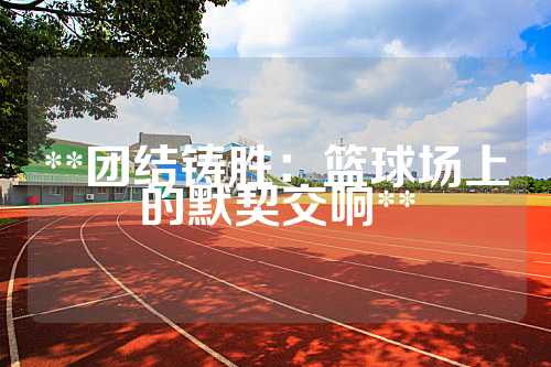 **团结铸胜：篮球场上的默契交响**