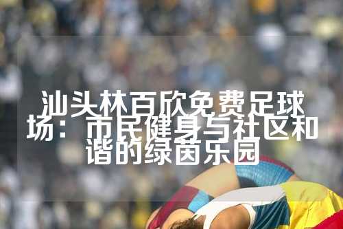 汕头林百欣免费足球场：市民健身与社区和谐的绿茵乐园
